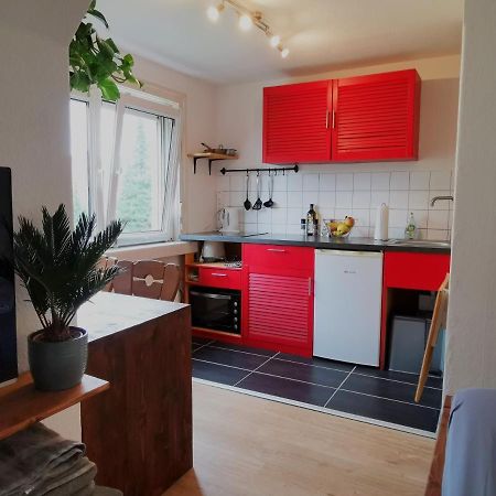 Kleines Studio Am Uni-Campus - Perfekt Fuer Junge Unternehmungslustige Дрезден Экстерьер фото